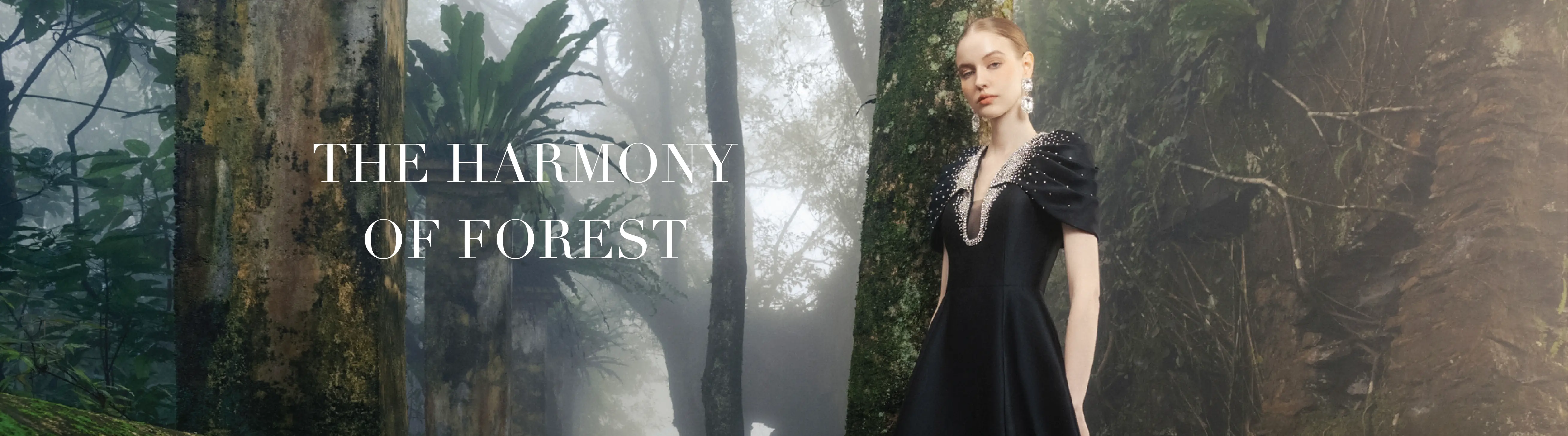 The Harmony Of Forest