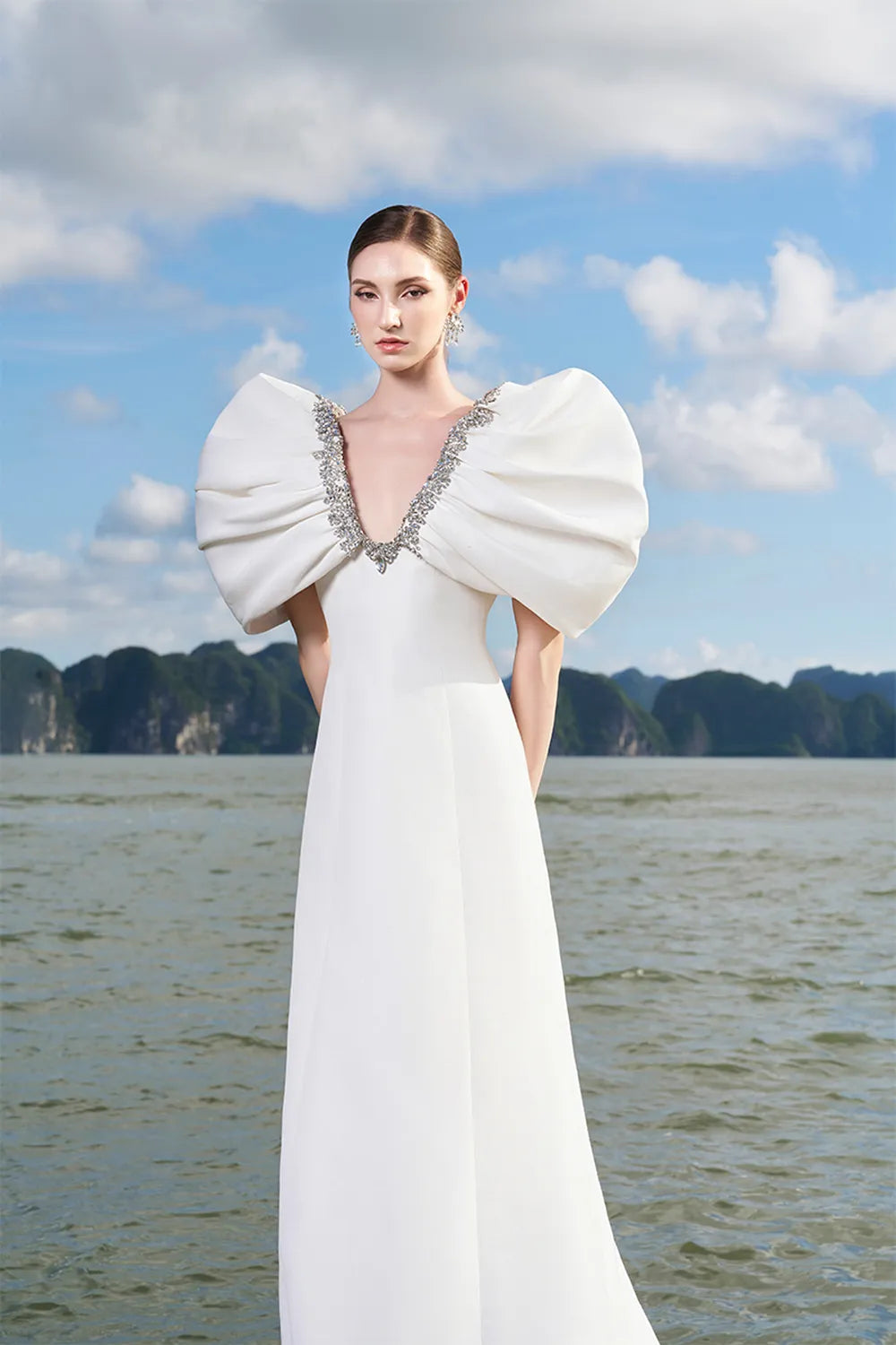 Puffy Gathered Sleeves Deep V-Neck Dress