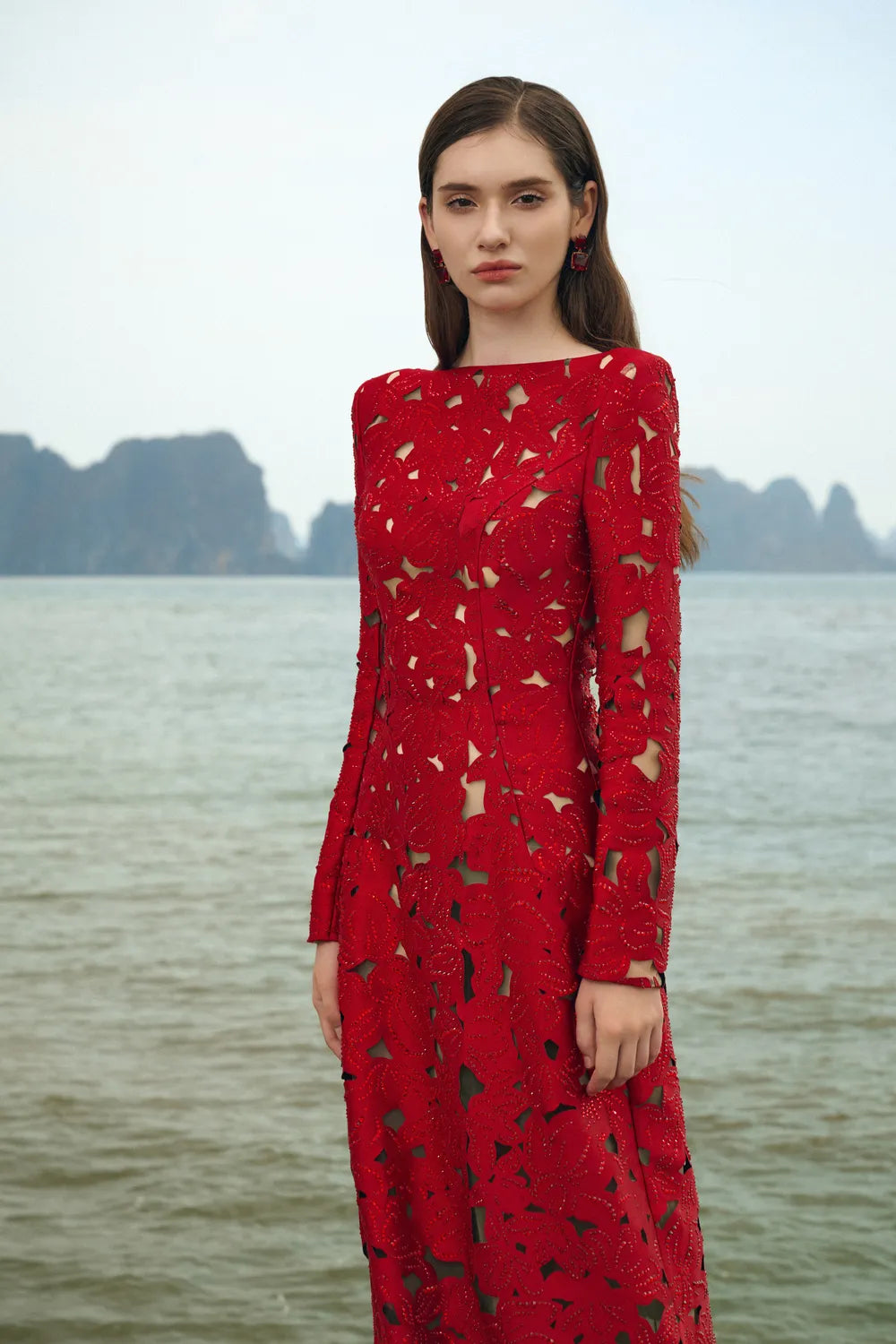 Long Sleeves Boat Neck Floral Lasercut Dress