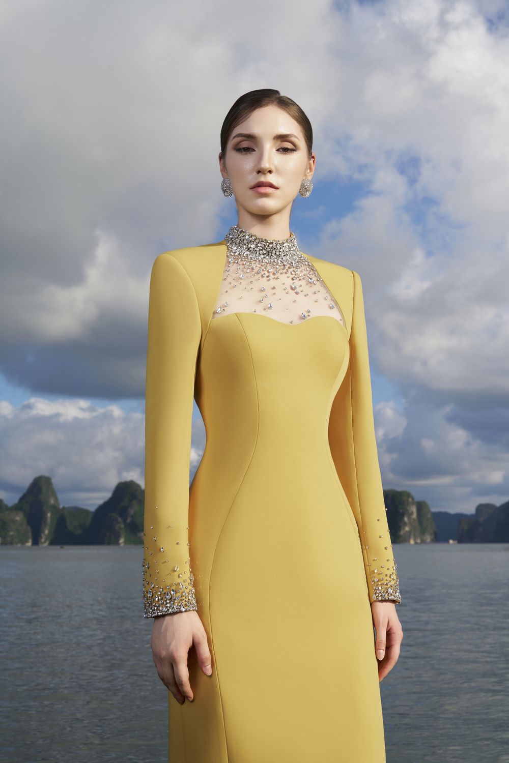 Crystal Embellished High Neck Dress