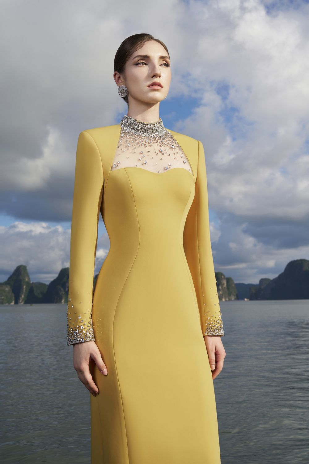 Crystal Embellished High Neck Dress