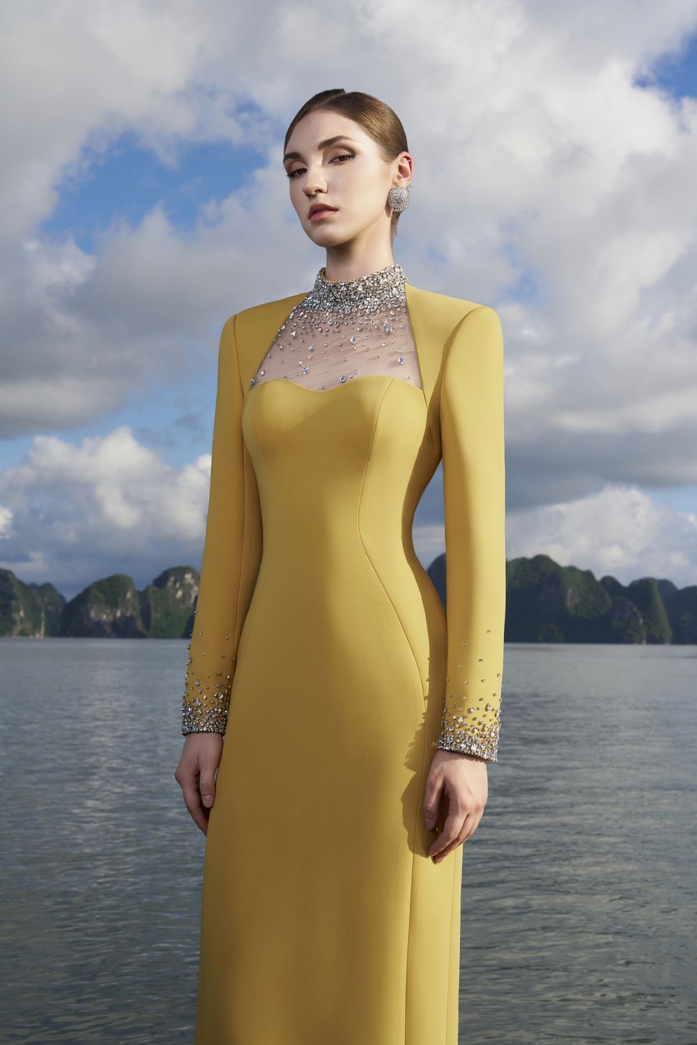 Crystal Embellished High Neck Dress