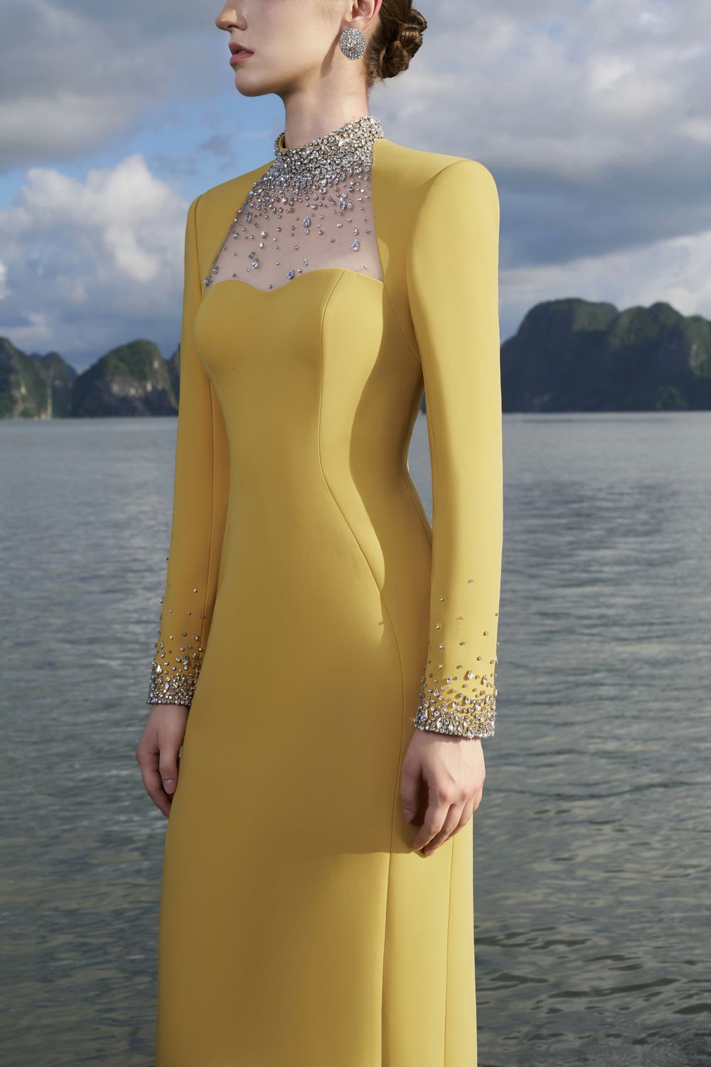 Crystal Embellished High Neck Dress