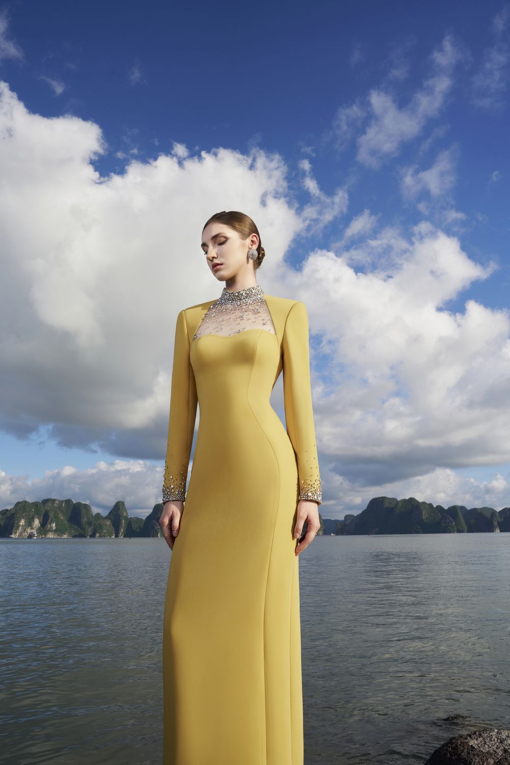 Crystal Embellished High Neck Dress