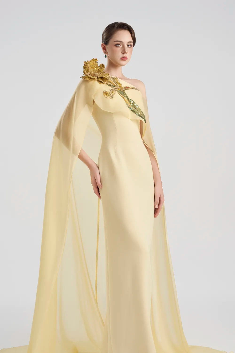 One Shoulder See-Through Long Back Flap Dress