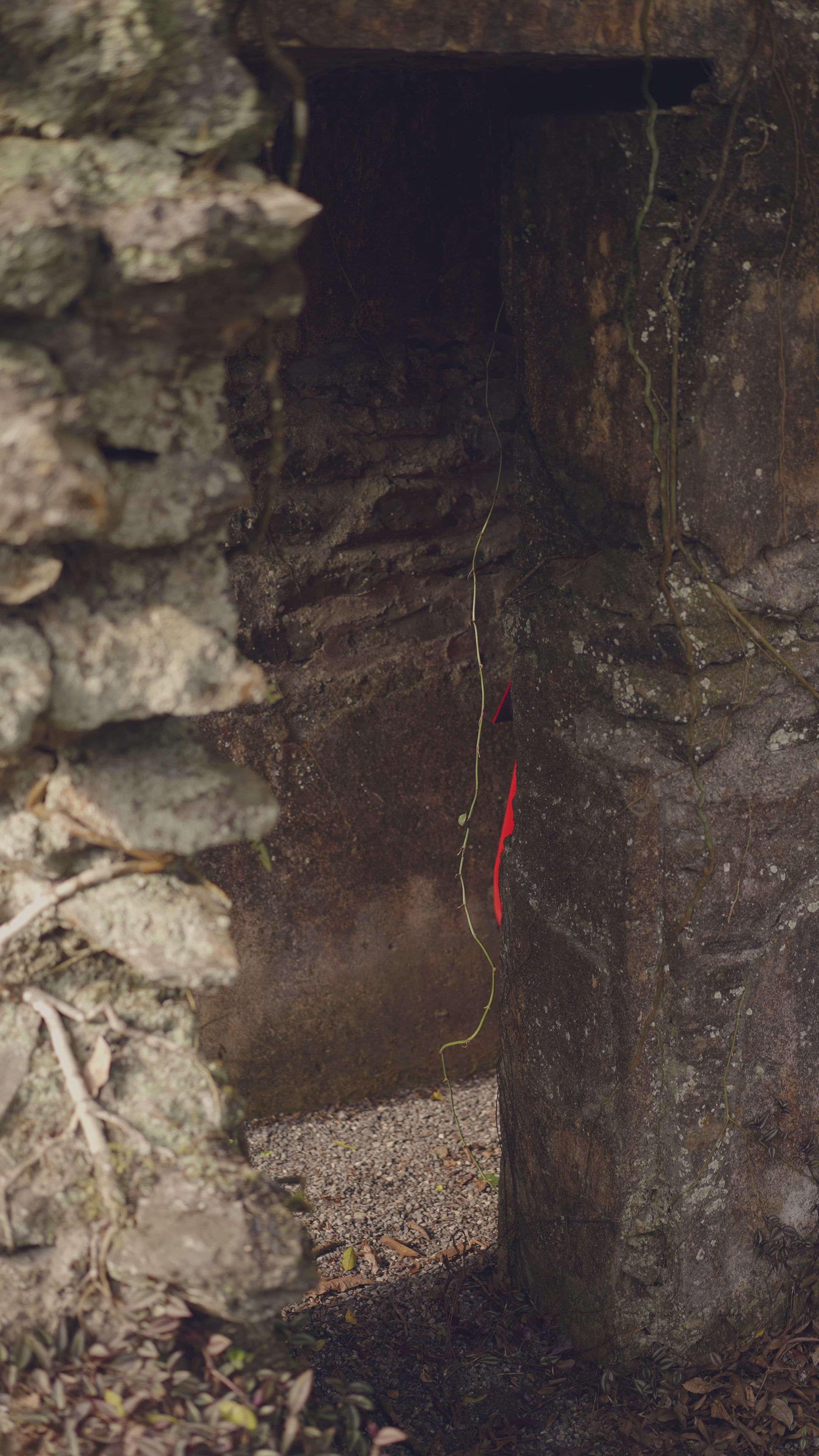 Cape Sleeve Crystal Embellished Dress