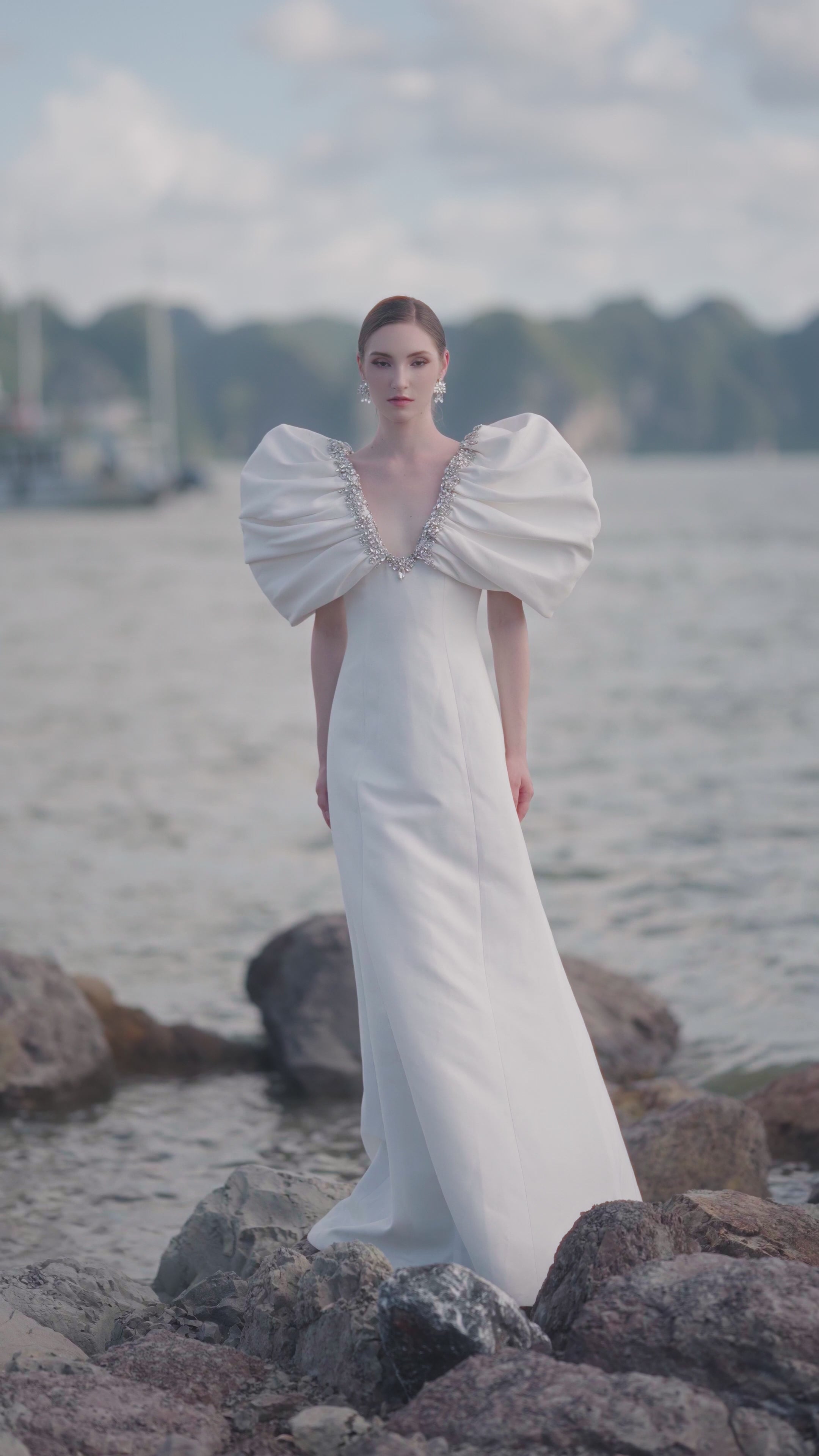 Puffy Gathered Sleeves Deep V-Neck Dress