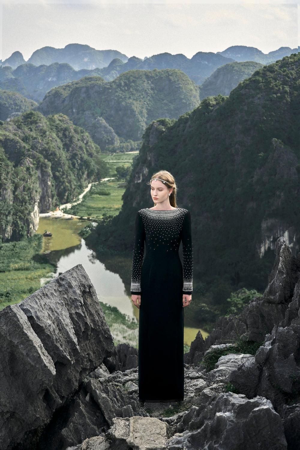 Mesmerizingly Stone Embellished Dress - TRACY COUTURE