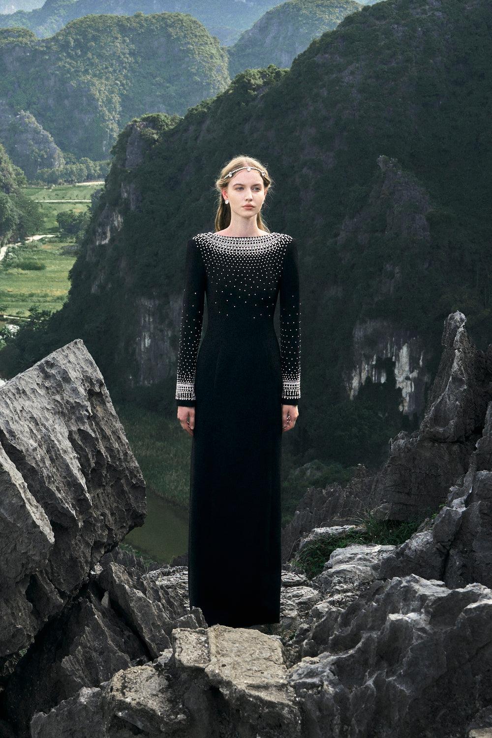 Mesmerizingly Stone Embellished Dress - TRACY COUTURE