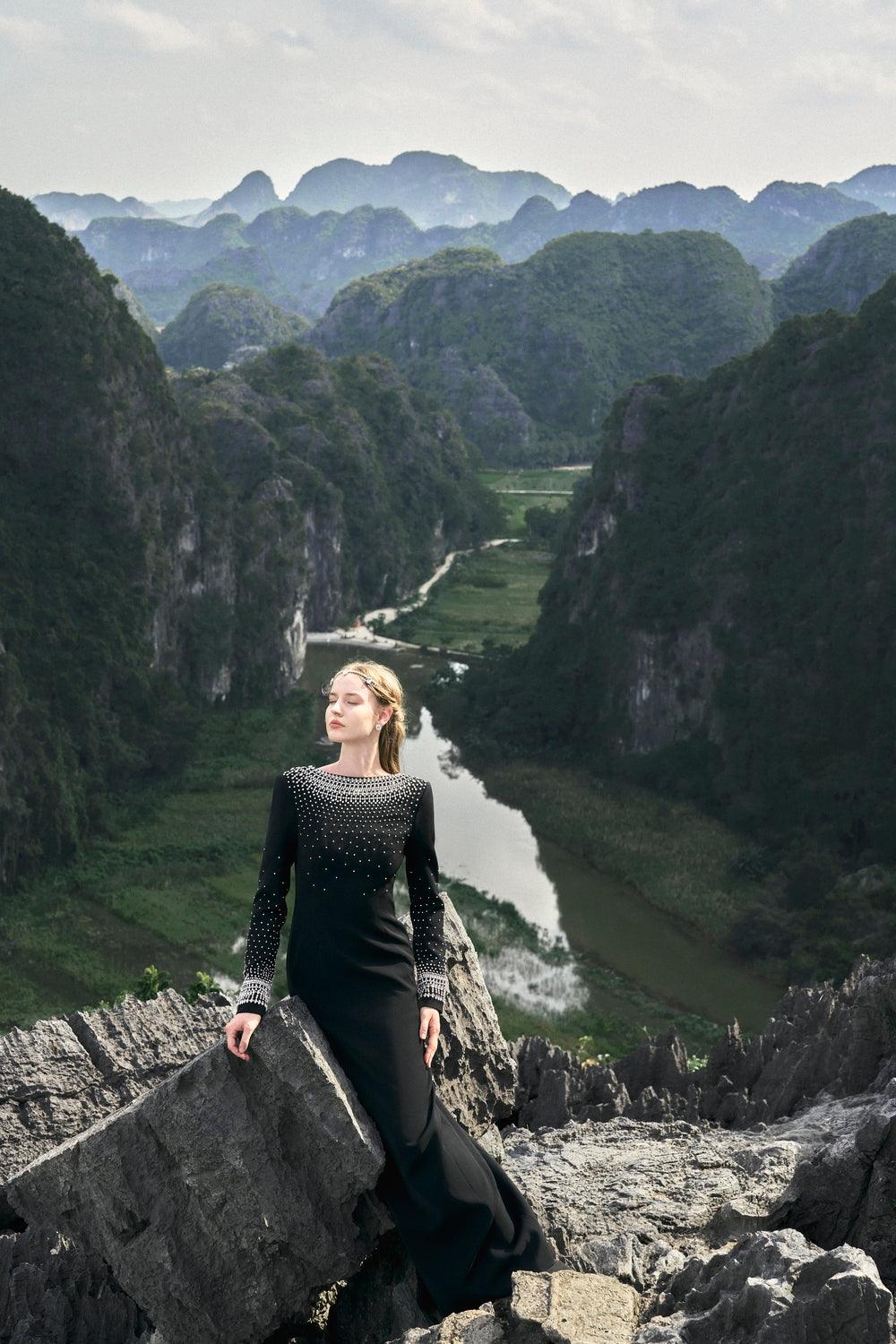 Mesmerizingly Stone Embellished Dress - TRACY COUTURE