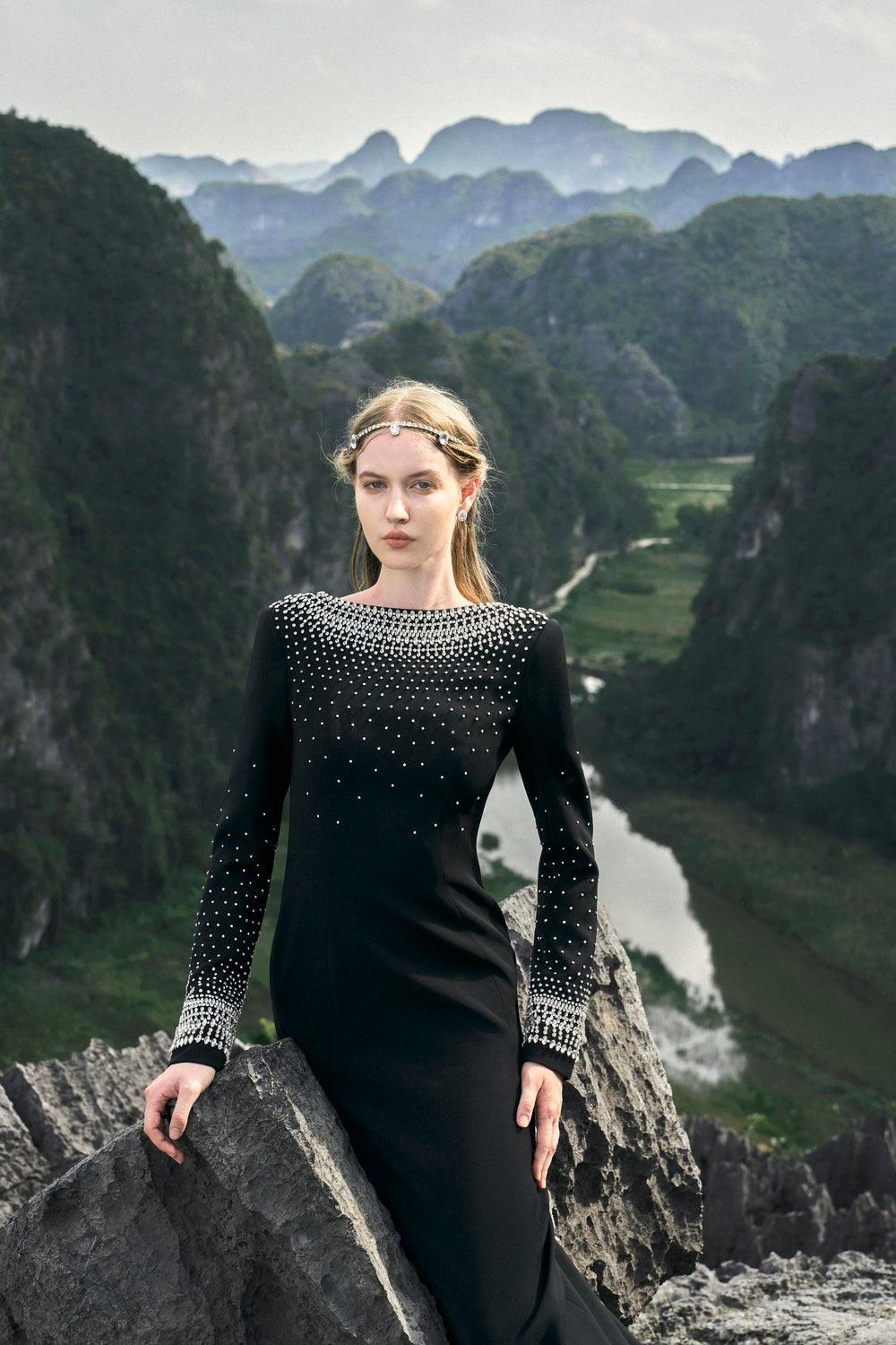 Mesmerizingly Stone Embellished Dress - TRACY COUTURE