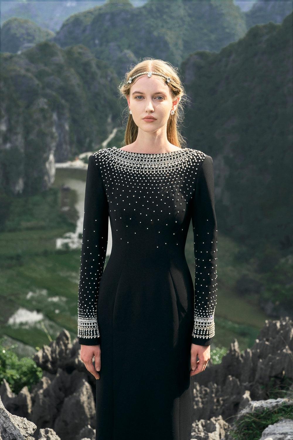 Mesmerizingly Stone Embellished Dress - TRACY COUTURE